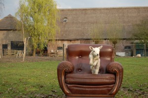 HIRES FOTO Lees Mei - Een nieuwe lente