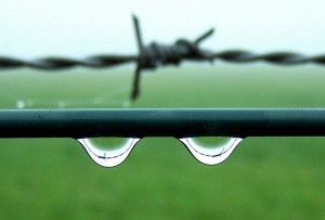 Foto: Geerten van Gelder