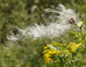 Foto: Geerten van Gelder