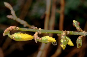 vertrekpunt Foto: Geerten van Gelder