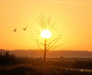 Foto: Geerten van Gelder