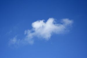 wolk wolk