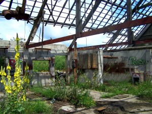 Foto: Geerten van Gelder