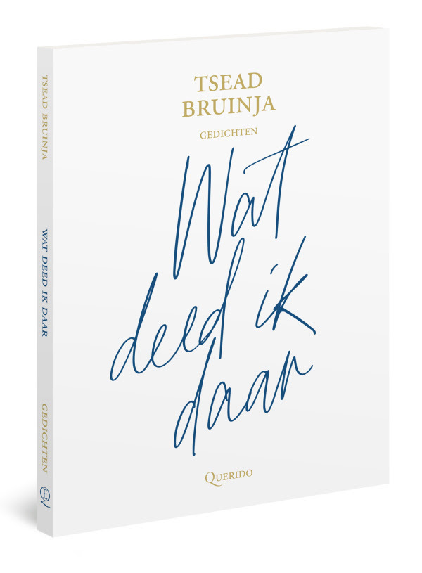 Nieuwe bundel voormalig Dichter Des Vaderlands Tsead Bruinja
